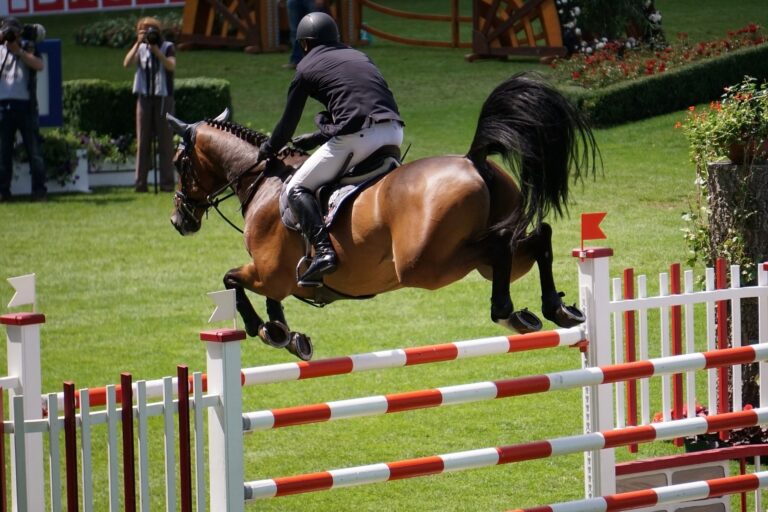 Cheval monté lors d'une compétition de saut d'obstacle sautant un obstacle rouge et blanc