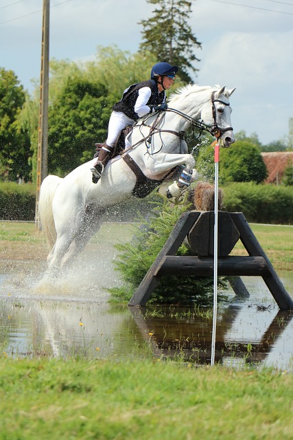 Cheval gris sautant un obstacle de cross dans l'eau