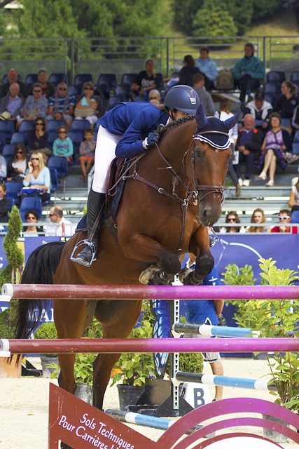 Cheval sautant un immense obstacle en compétiton internationale