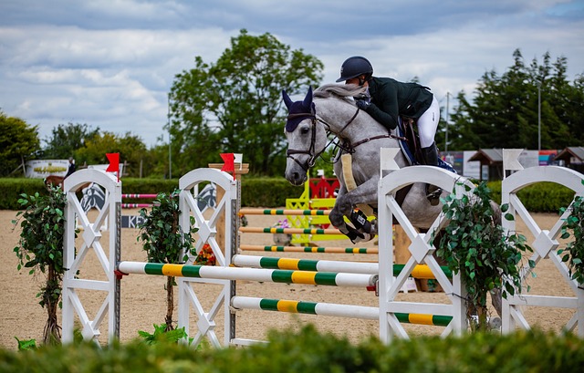 Cheval gris sautant un obstacle blanc, vert et jaune en concours