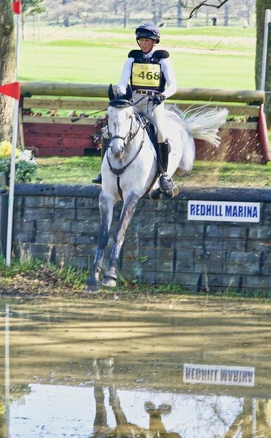Cheval gris à l'atterissage d'un saut fixe de cross avec réception dans l'eau