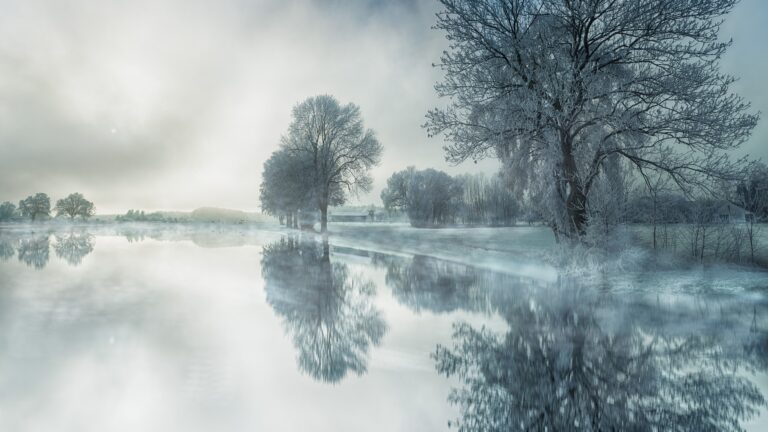 lac gelé et arbres recouverts de givre en hiver